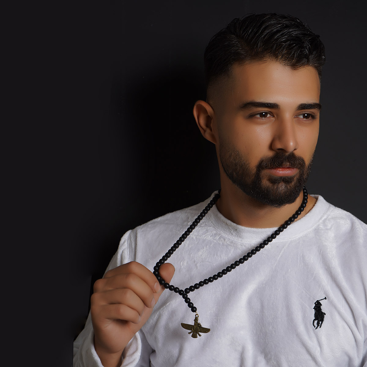 گردنبند آویز دار مردانه مدل Faravahar